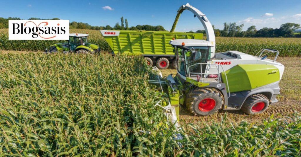 plowing too close to the corn